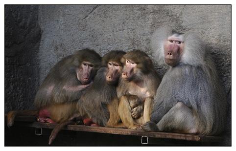 _MG_3499 Kopie_klein.jpg